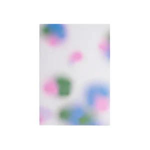 100 Page Notebook - The Completist