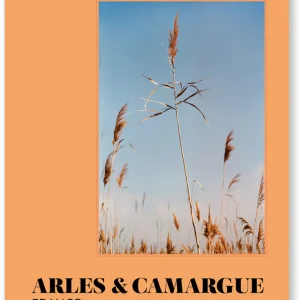 Arles-Camargue - A Week Abroad